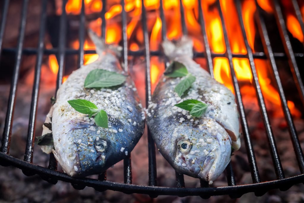 Fish on griddle over campfire
