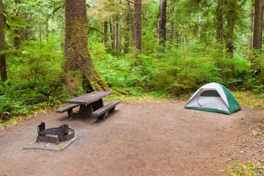 National park campsite - firering and picnic table