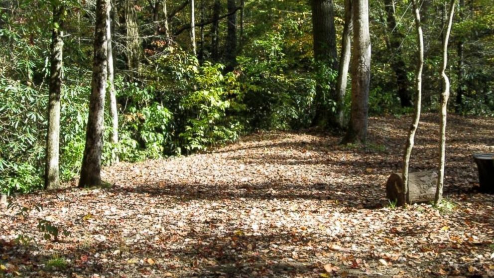 PHOTO: The campsite where a 16-year-old was attacked by a bear at Great Smoky Mountains National Park.