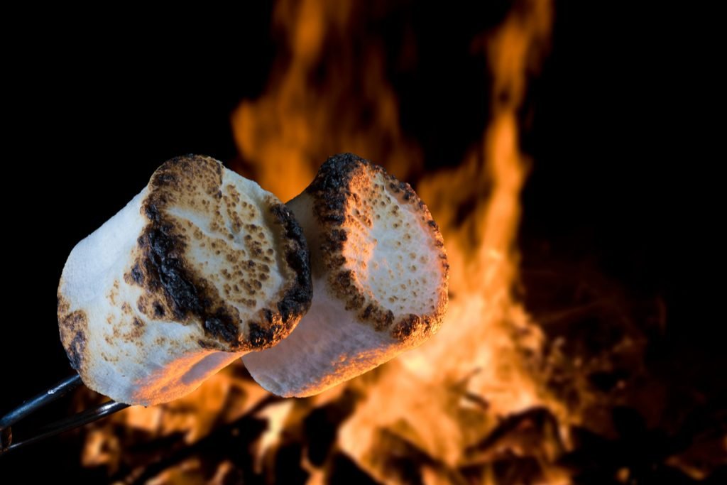 Roasted marshmallow over campfire - one of the great joys of childhood