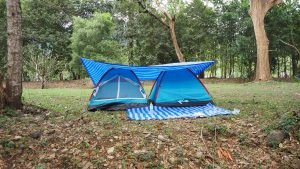 Two tents pitched under tarp as sun and reain protection